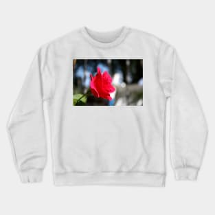 Bright and Colorful RED ROSE close up Crewneck Sweatshirt